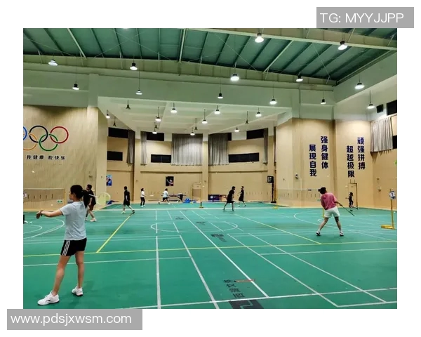 羽毛球焦点杭州羽毛球队实力分析与欧冠足球的精彩对比探讨