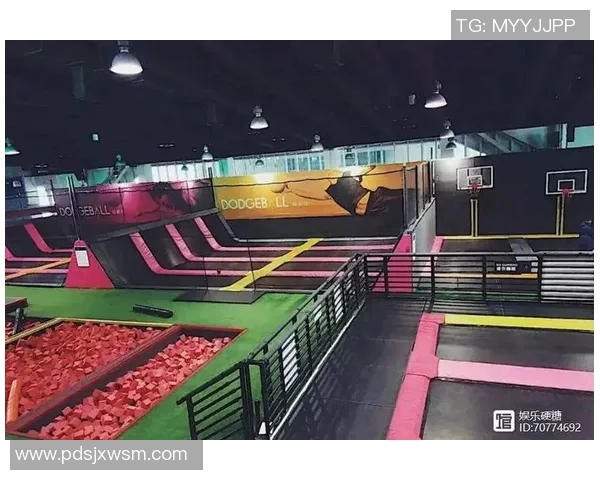 深圳极限运动队技术表现的运动数据分析与提升策略探讨