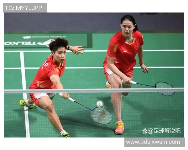 今年运动数据赵娜独家分享羽毛球技巧与心得助你提升竞技水平与乐趣